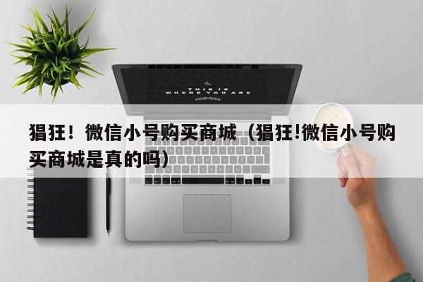 猖狂！微信小号购买商城（猖狂!微信小号购买商城是真的吗）