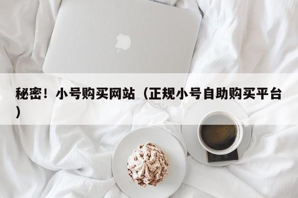 秘密！小号购买网站（正规小号自助购买平台）