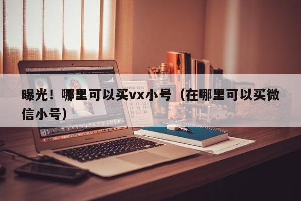 曝光！哪里可以买vx小号（在哪里可以买微信小号）