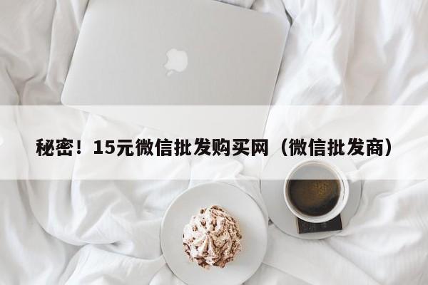 秘密！15元微信批发购买网（微信批发商）