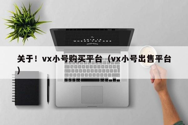 关于！vx小号购买平台（vx小号出售平台）