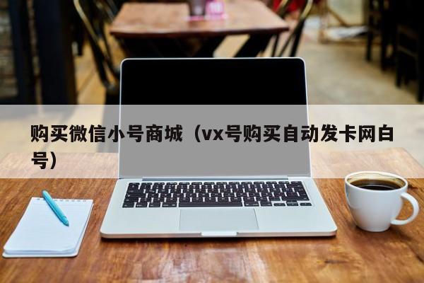购买微信小号商城（vx号购买自动发卡网白号）