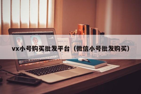 vx小号购买批发平台（微信小号批发购买）