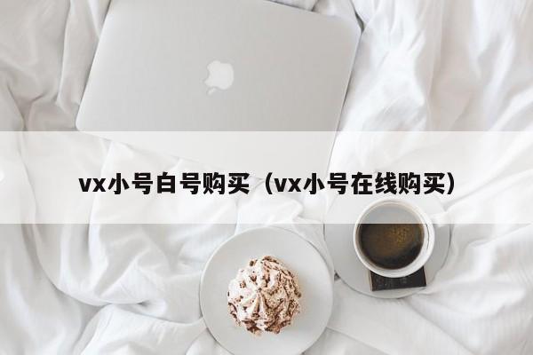 vx小号白号购买（vx小号在线购买）