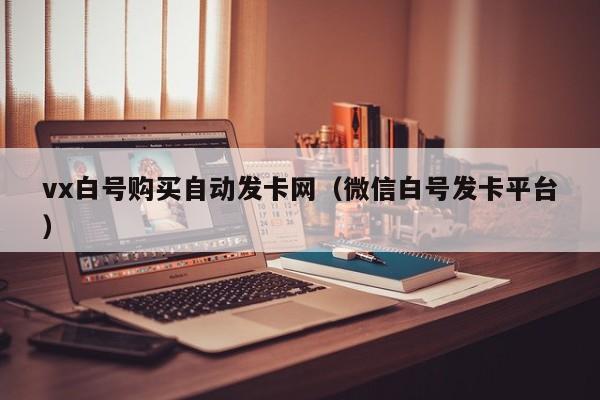 vx白号购买自动发卡网（微信白号发卡平台）