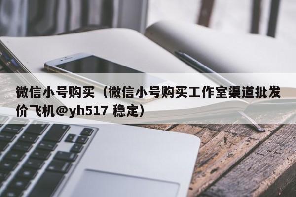 微信小号购买（微信小号购买工作室渠道批发价飞机@yh517 稳定）