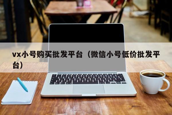 vx小号购买批发平台（微信小号低价批发平台）