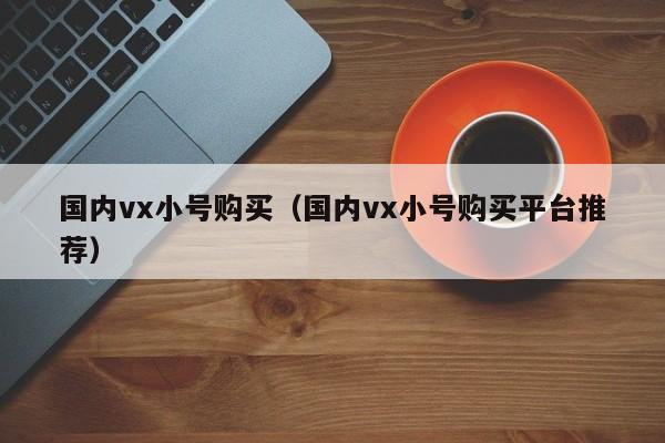 国内vx小号购买（国内vx小号购买平台推荐）