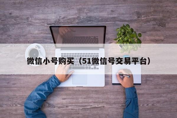 微信小号购买（51微信号交易平台）