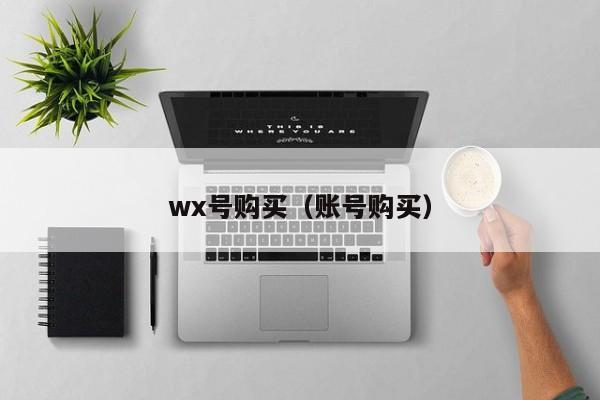 wx号购买（账号购买）