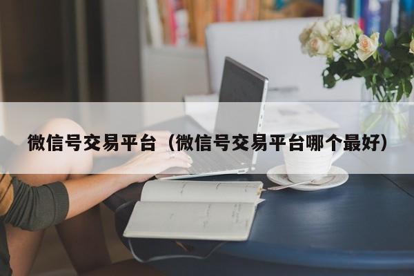 微信号交易平台（微信号交易平台哪个最好）