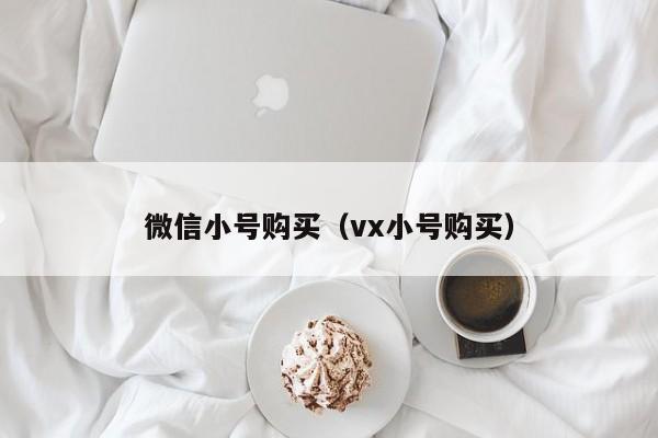 微信小号购买（vx小号购买）