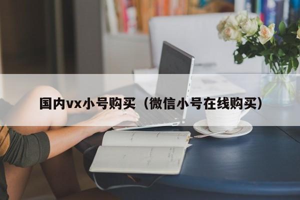国内vx小号购买（微信小号在线购买）