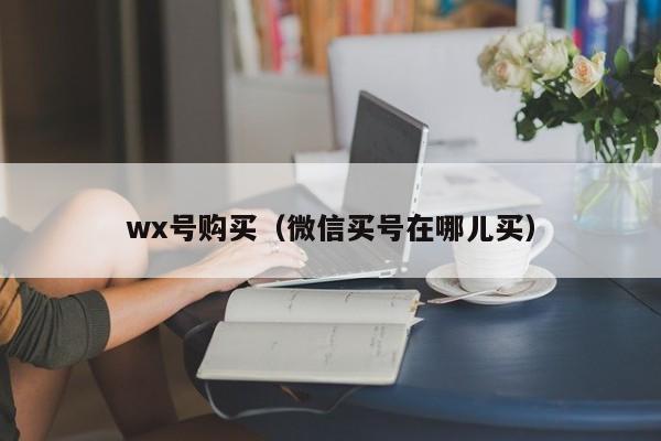 wx号购买（微信买号在哪儿买）