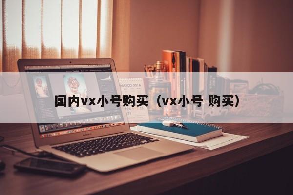 国内vx小号购买（vx小号 购买）