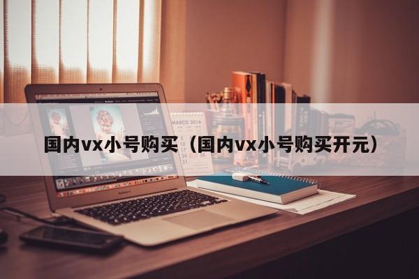 国内vx小号购买（国内vx小号购买开元）