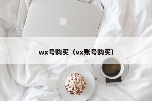 wx号购买（vx账号购买）