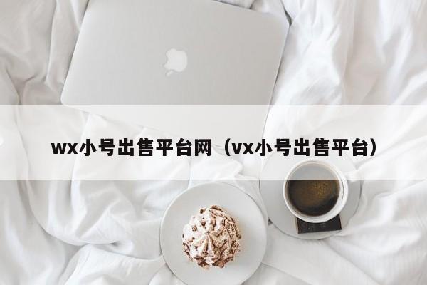 wx小号出售平台网（vx小号出售平台）