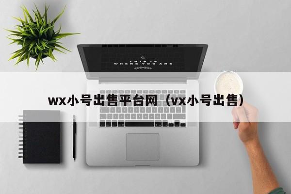 wx小号出售平台网（vx小号出售）