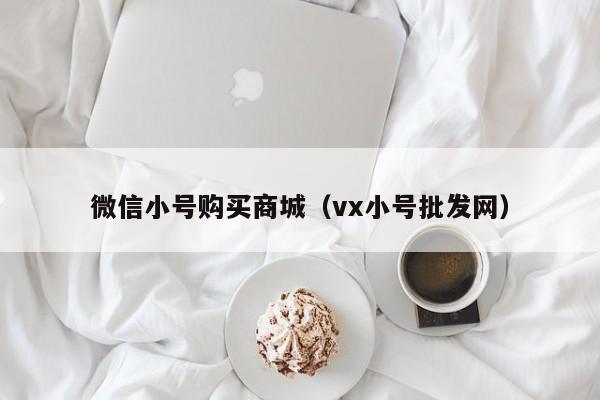 微信小号购买商城（vx小号批发网）