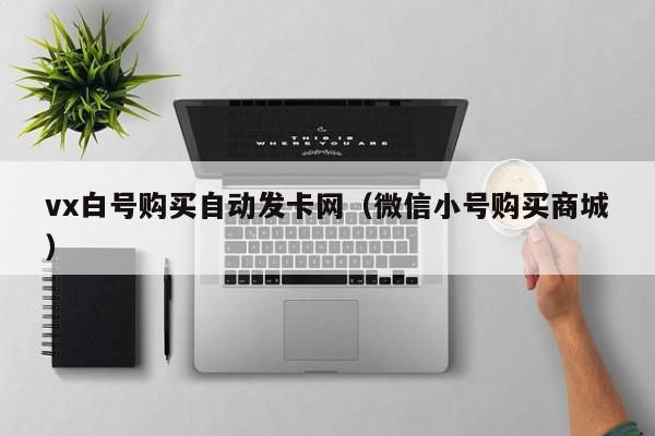 vx白号购买自动发卡网（微信小号购买商城）