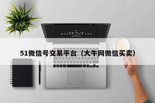 51微信号交易平台（大牛网微信买卖）